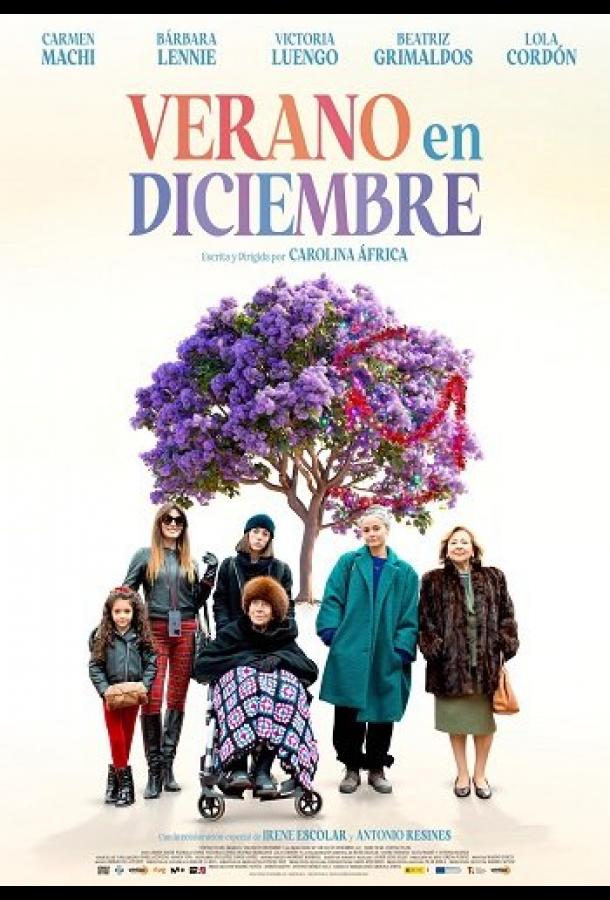 Лето в декабре (2024)